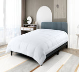 Edredón interior de Microfibra Queen