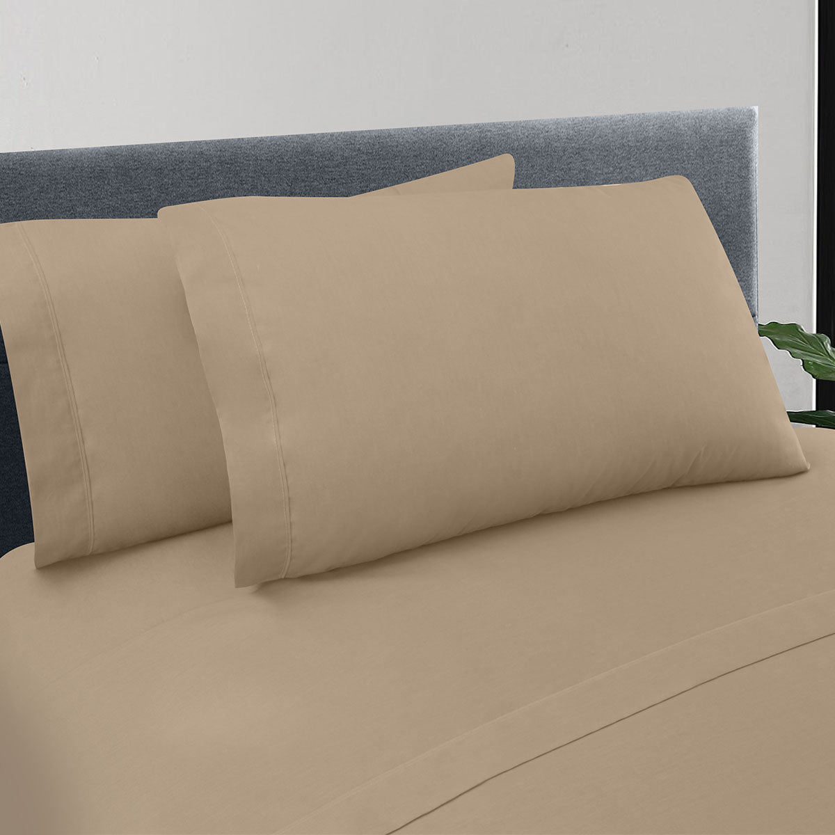 Sábanas Zarco Queen Size Capuchino | 50% algodón, 50% poliéster. | 140 Hilos*